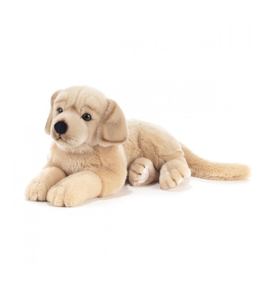 Peluche Golden Retriever Plush & Company Goldy