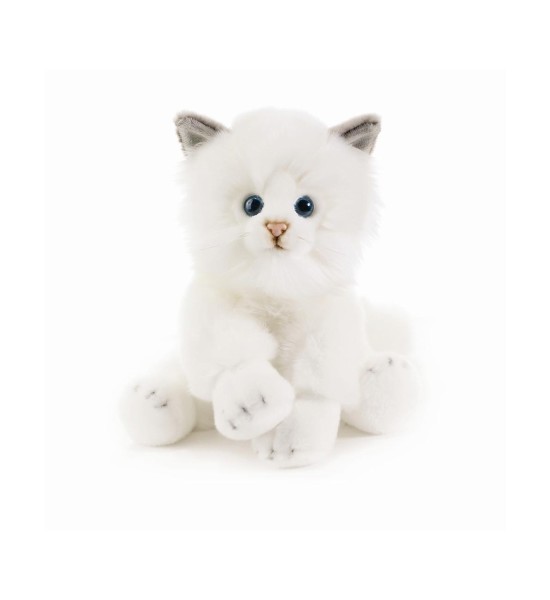 Sitzende Katze aus Plüsch Plush  & Company Raji