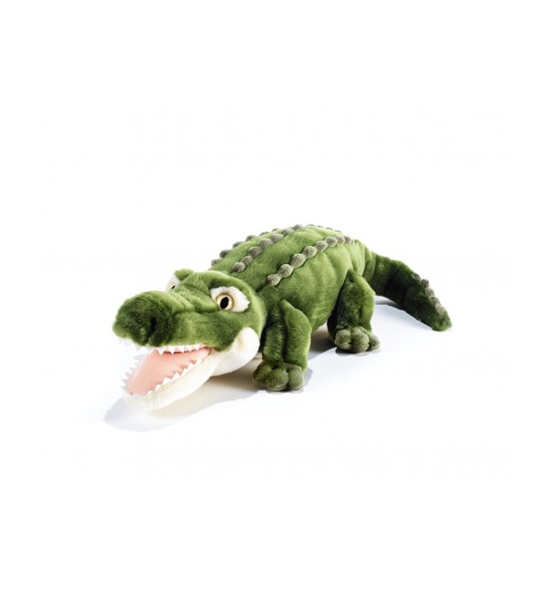 Crocodile Plush Plush  & Company Agostino